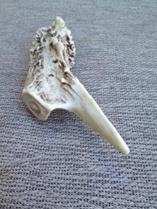 make an antler letter opener