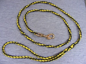 make a paracord dog leash