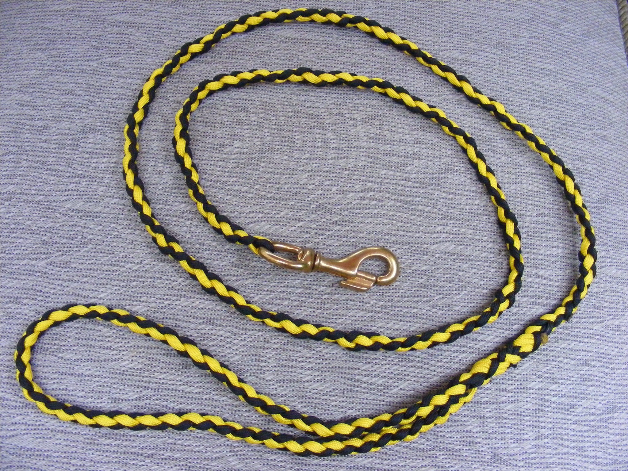 Make A Paracord Dog Leash