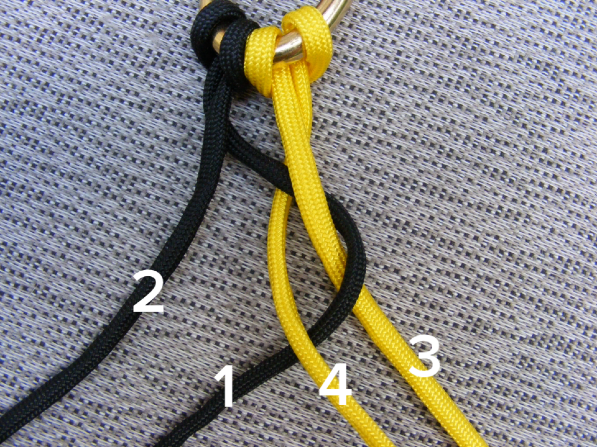 6 strand paracord dog leash