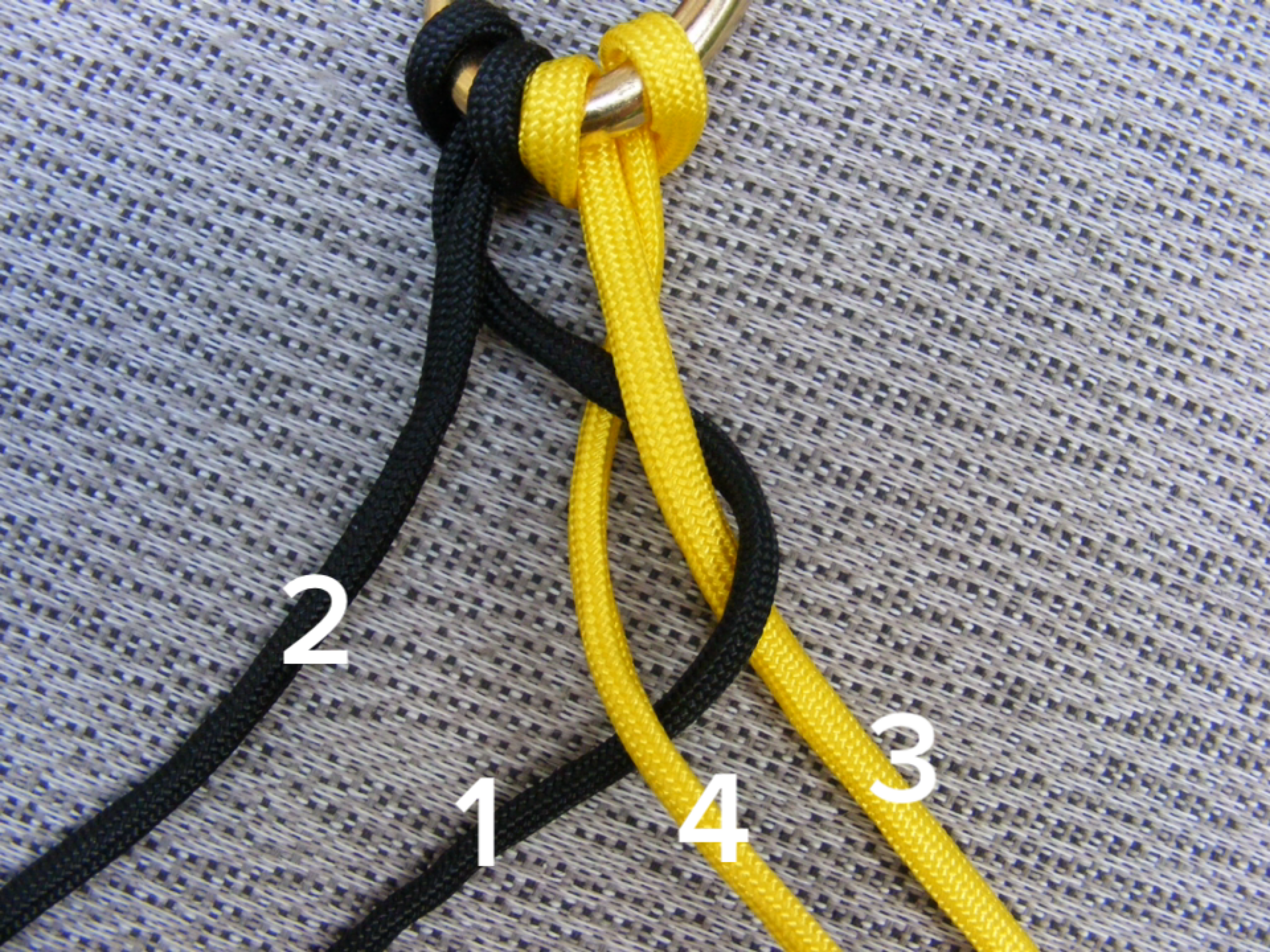 make a paracord dog leash