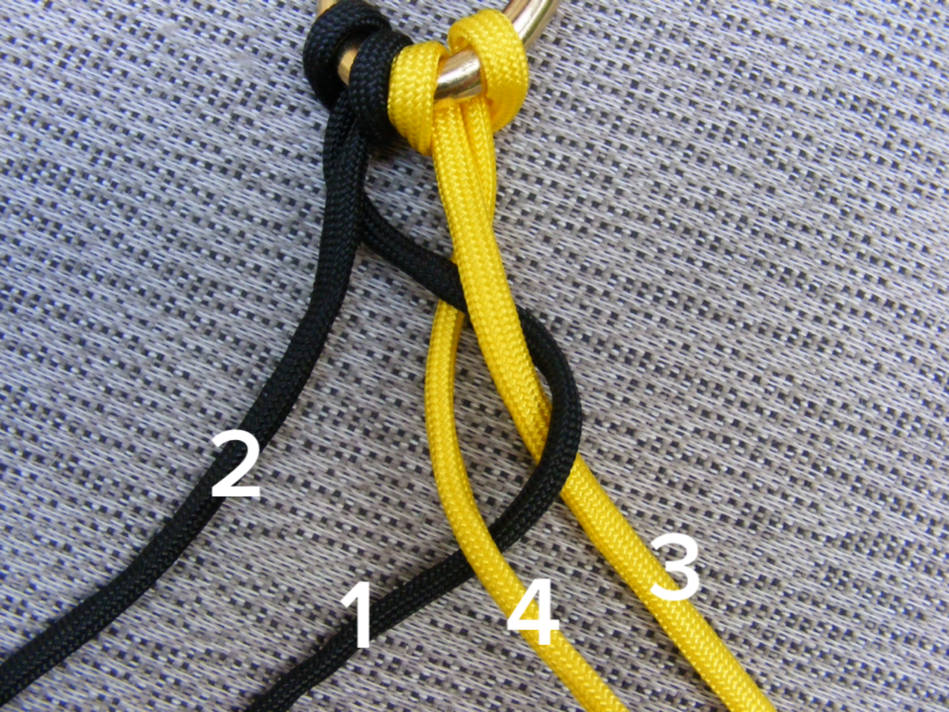 Make A Paracord Dog Leash