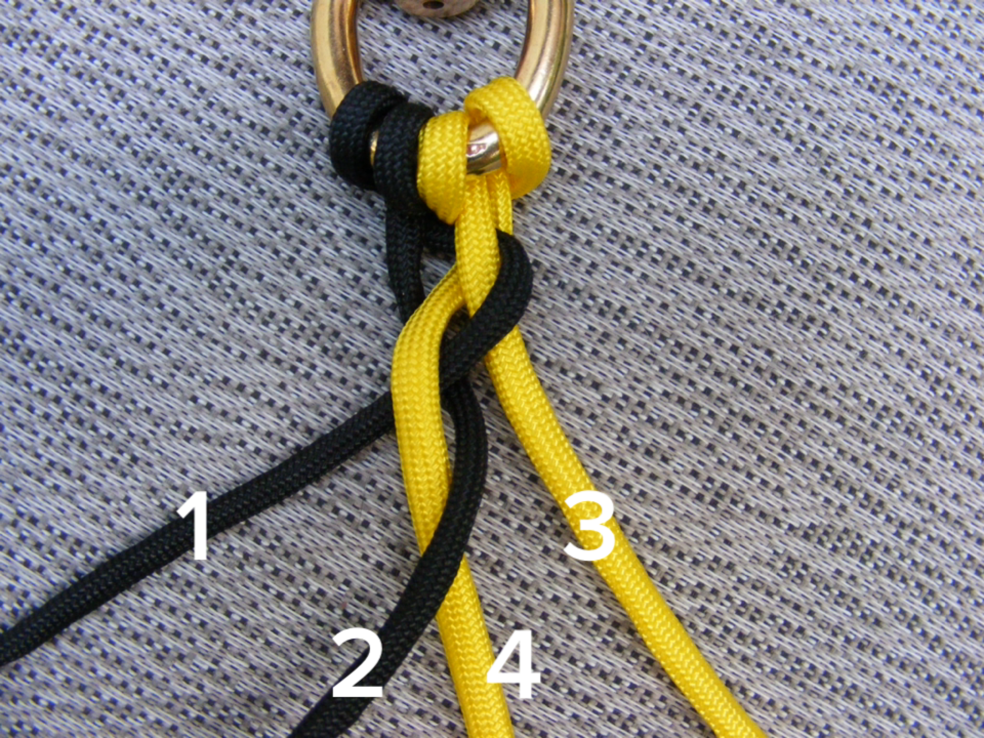 Make A Paracord Dog Leash