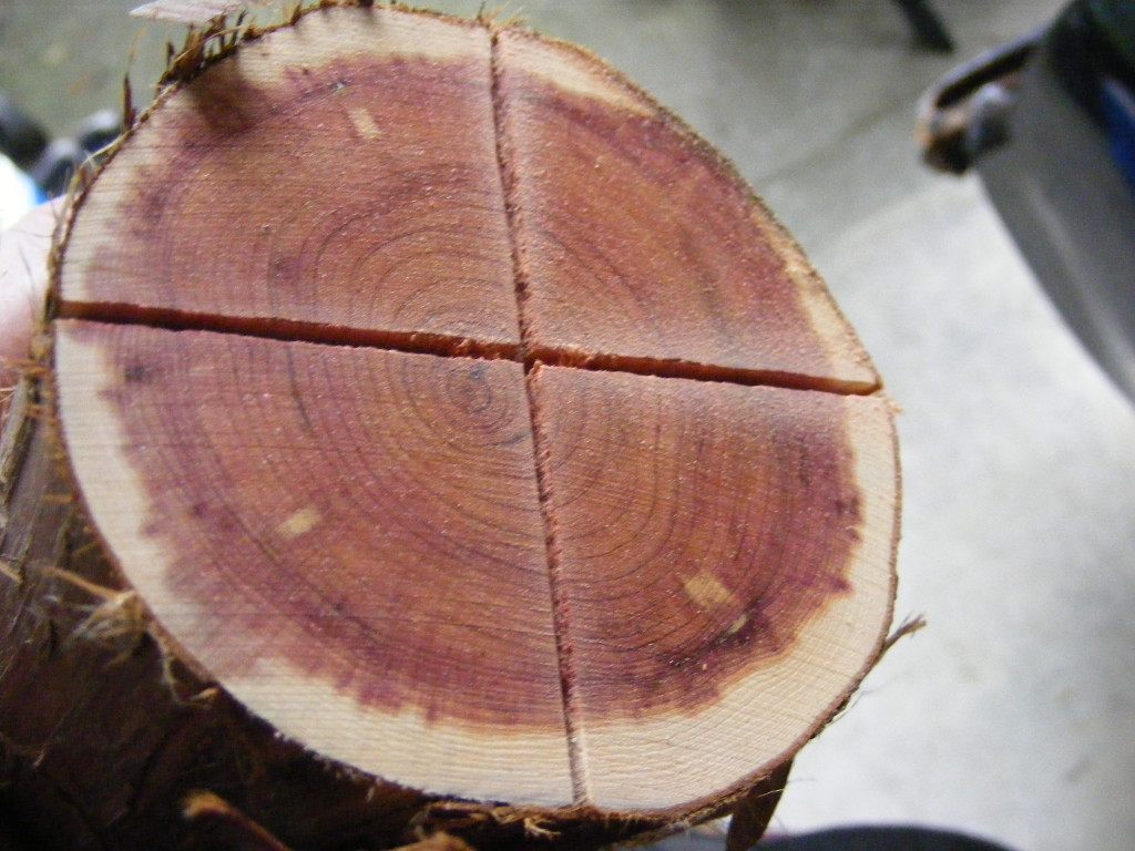 Make a cedar spoon