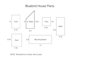make a bluebird house