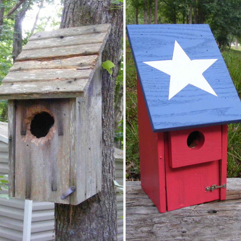 make a bluebird house 