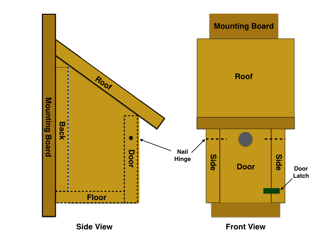 bluebird house hole size