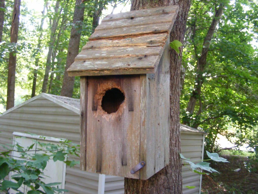make a bluebird house