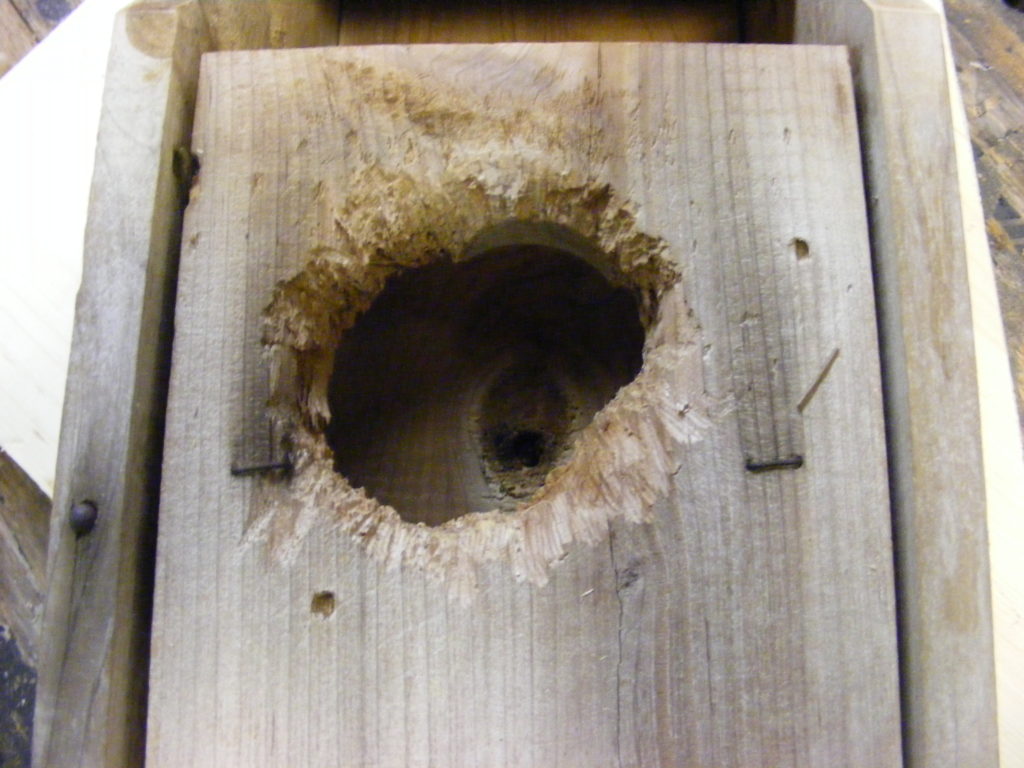 birdhouse renovation 