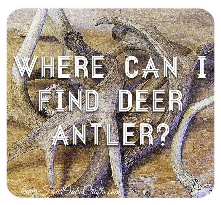 where can I find deer antler