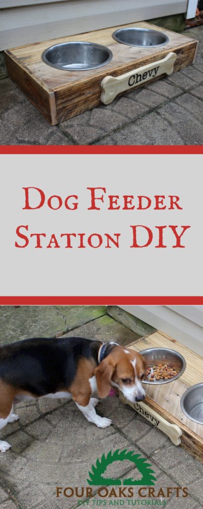 dog feeder station