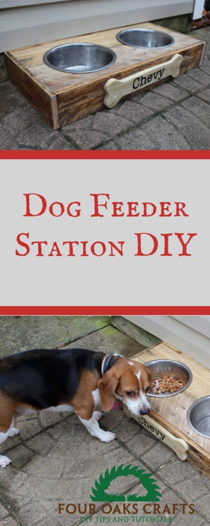 dog feeder station