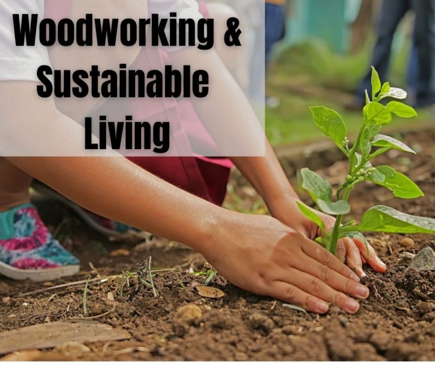 Woodworking and sustainable living